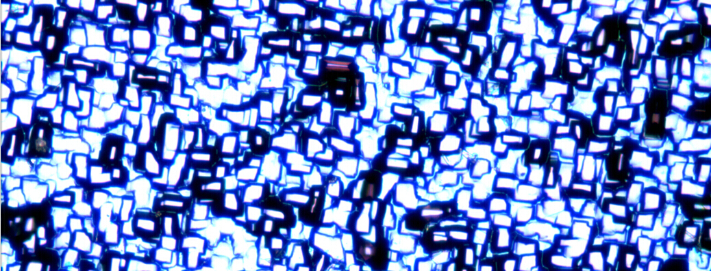 明美金相显微镜MJ42视野下的斑斓世界