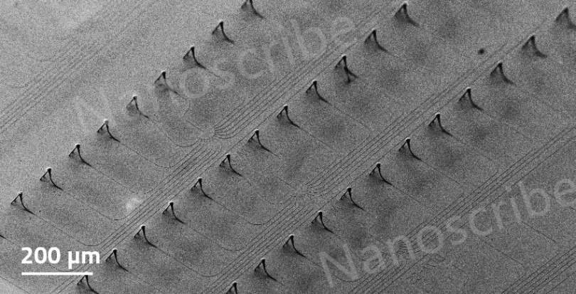 Nanoscribe_photonic-chip05.jpg