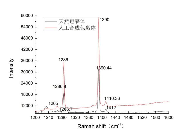 图2 天然包裹体和人工合成包裹体的拉曼光谱图.png