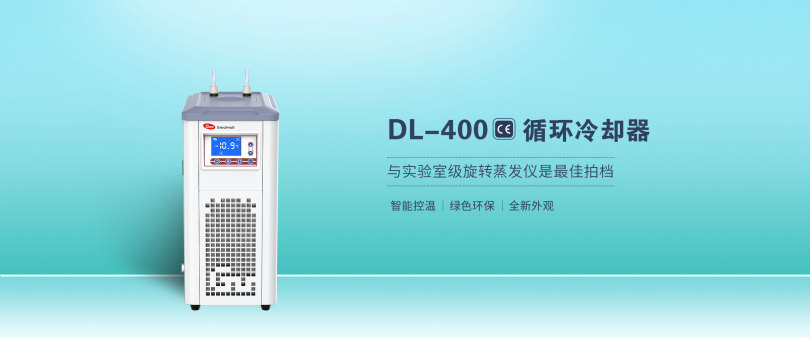 DL-400详图1.jpg
