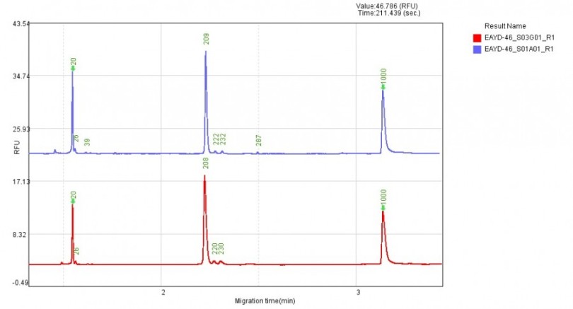 PCR产物分析对比图.png