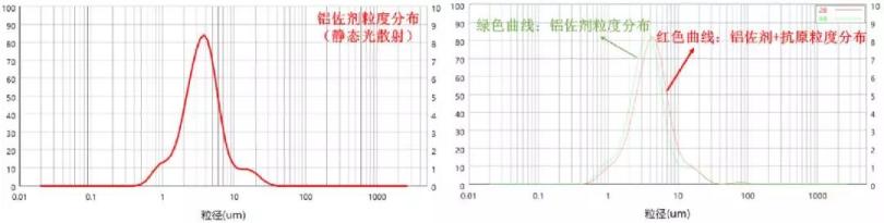 “新冠病毒与颗粒”讨论之三——新冠病毒疫苗研发中颗粒的作用