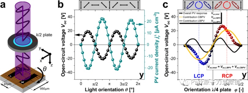 图1:BiFeO3薄膜中LBPV和CBPV的光电测量