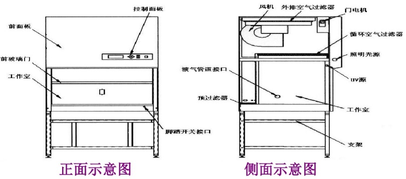 生物安全柜结构图.png