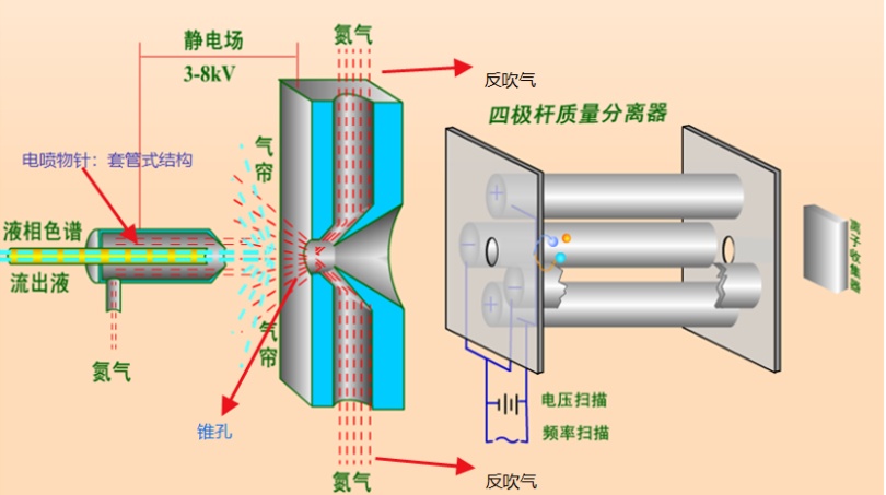 图2. ESI电喷雾离子源构造图.png