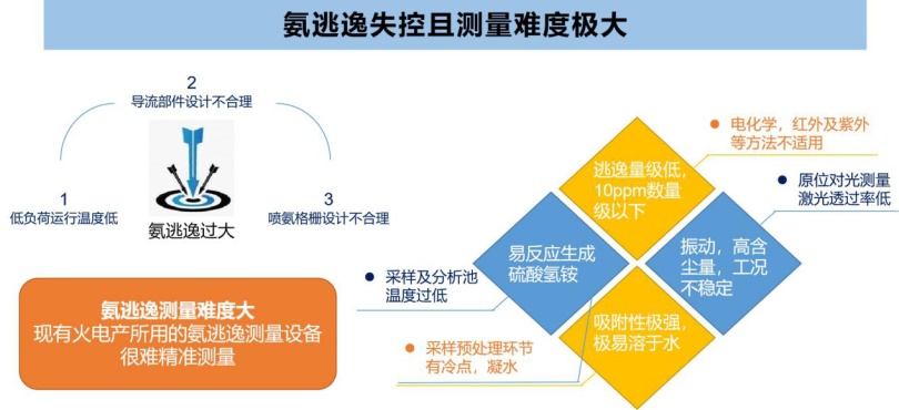 LGM1600便携式氨逃逸分析仪的典型应用